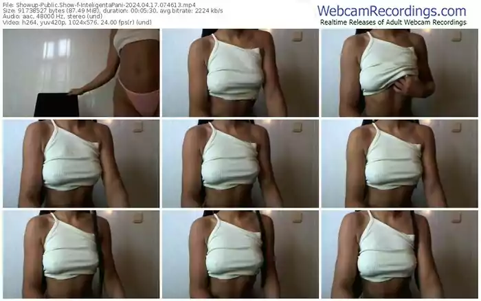 2024/04/17/showup-inteligentapani-07-46-13