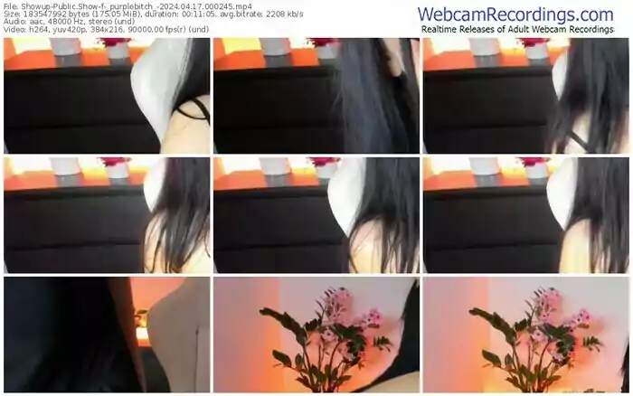 2024/04/17/showup-_purplebitch_-00-02-45