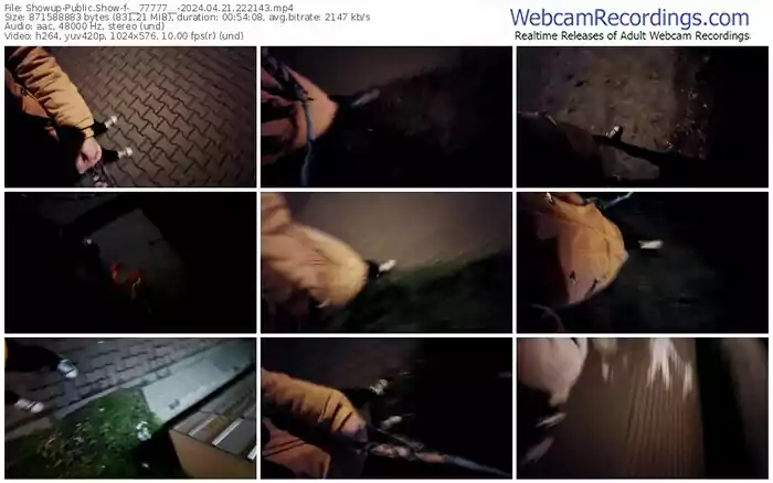 2024/04/21/showup-__77777__-22-21-43