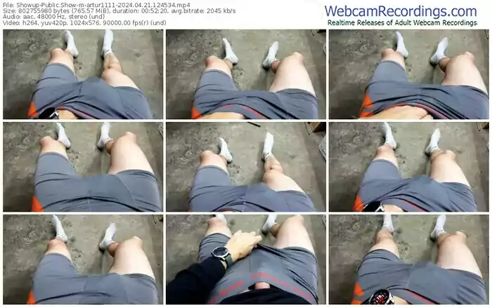 2024/04/21/showup-artur1111-12-45-34