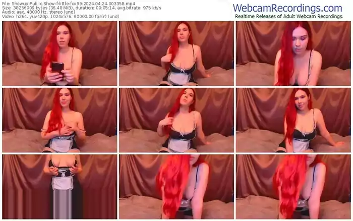 2024/04/24/showup-little-fox99-00-33-58