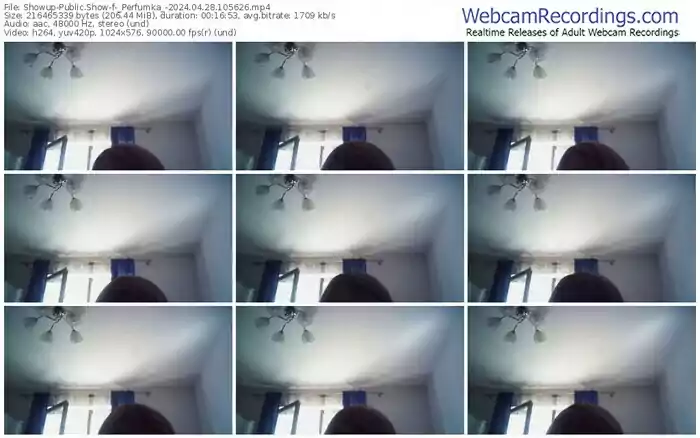 2024/04/28/showup-_perfumka_-10-56-26