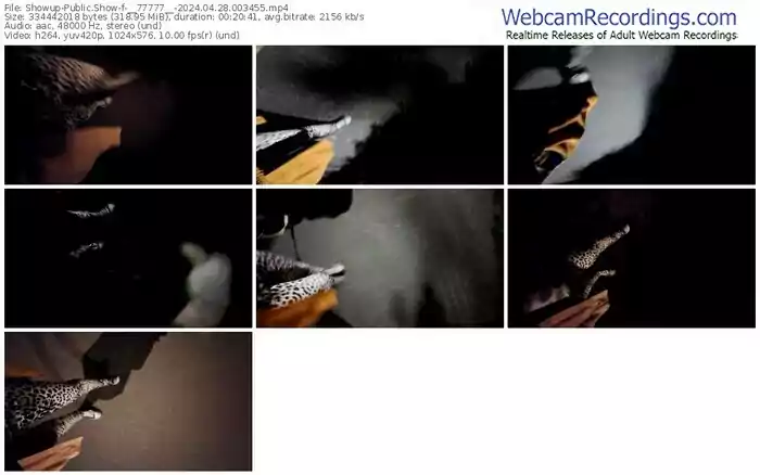 2024/04/28/showup-__77777__-00-34-55