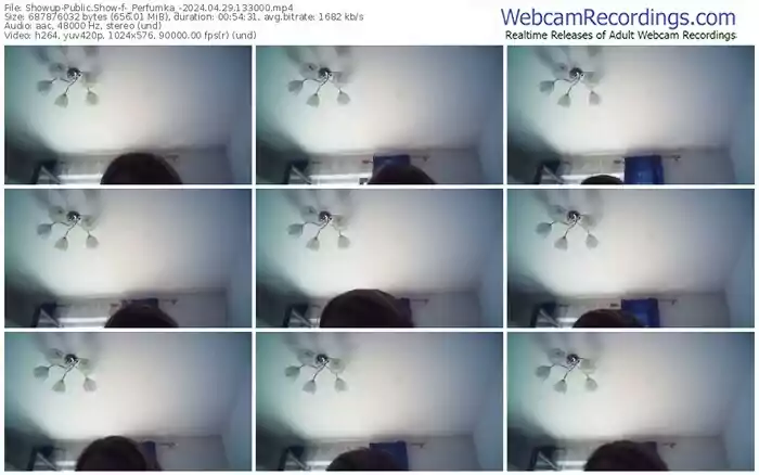2024/04/29/showup-_perfumka_-13-30-00