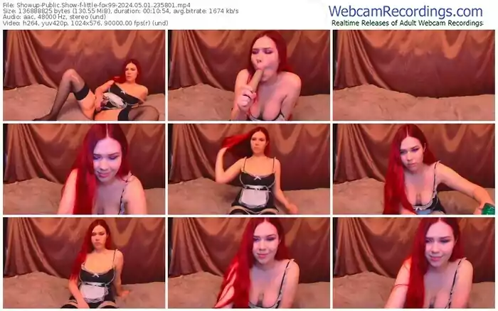 2024/05/01/showup-little-fox99-23-58-01