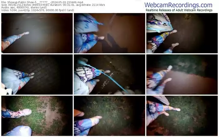 2024/05/03/showup-__77777__-23-34-46