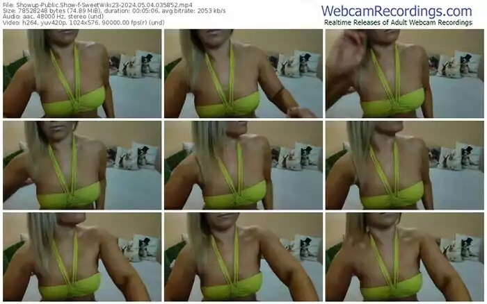 2024/05/04/showup-sweetwiki23-03-58-52