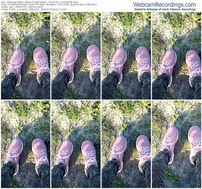 2024/05/14/showup-sadcookie_-16-43-48