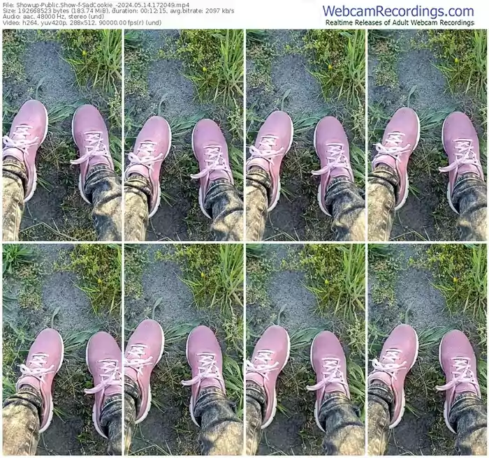 2024/05/14/showup-sadcookie_-17-20-49