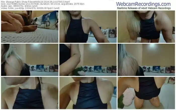 2024/05/14/showup-sweetwiki23-07-54-13