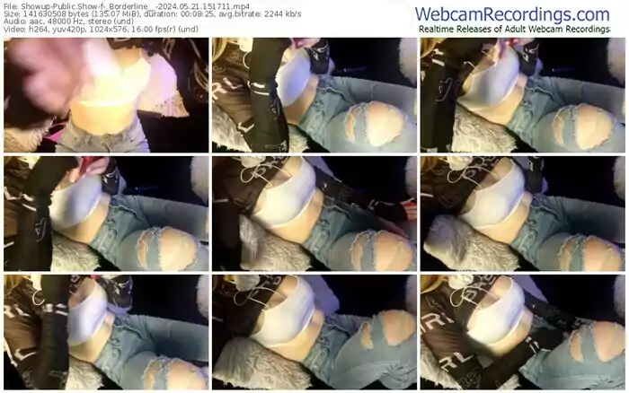 2024/05/21/showup-_borderline__-15-17-11