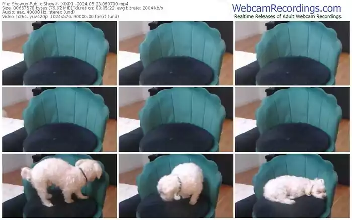 2024/05/23/showup-_xixixi_-06-07-00