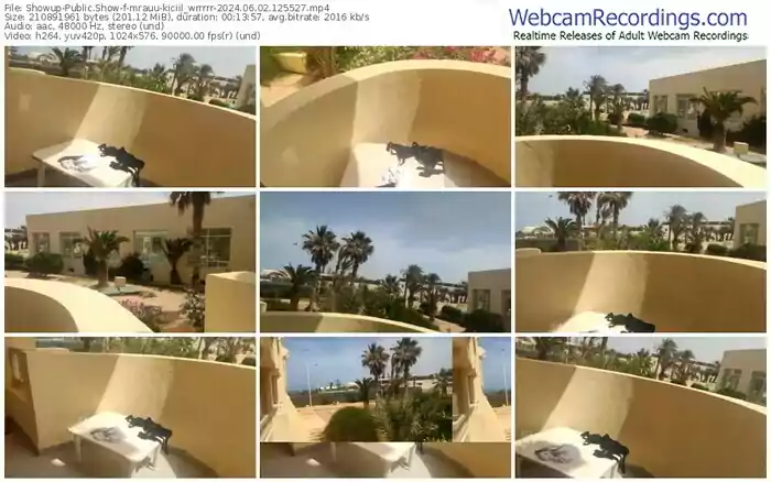 2024/06/02/showup-mrauu-kiciil_wrrrrr-12-55-27