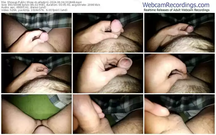 2024/06/04/showup-alladyn1-00-28-48