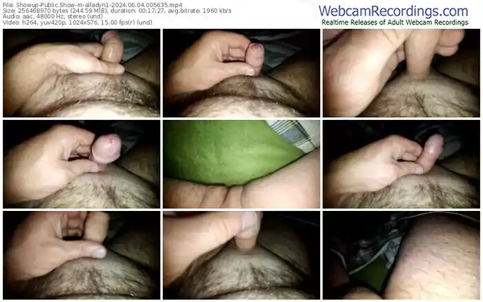 2024/06/04/showup-alladyn1-00-56-35