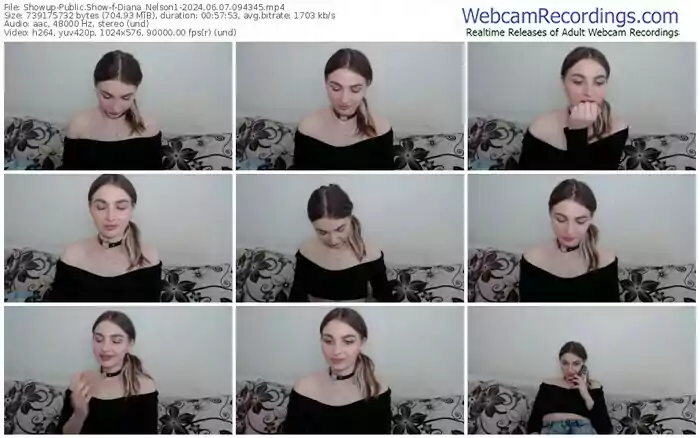 2024/06/07/showup-diana_nelson1-09-43-45