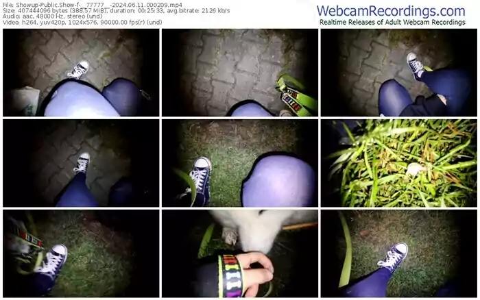 2024/06/11/showup-__77777__-00-02-09