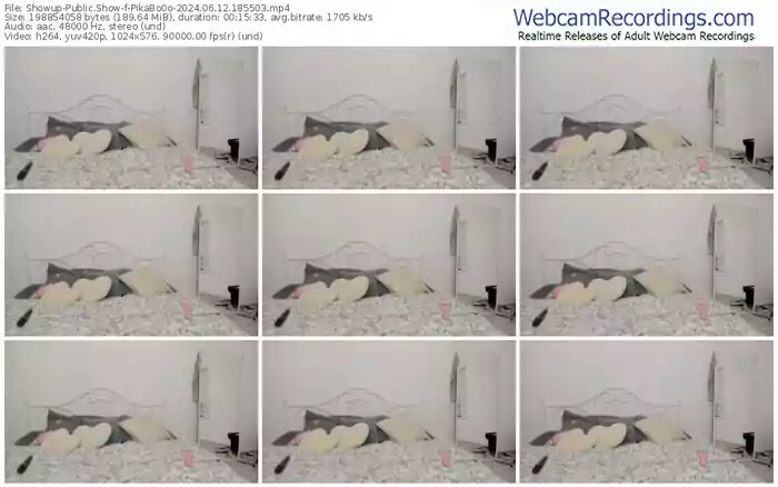 2024/06/12/showup-pikabo0o-18-55-03