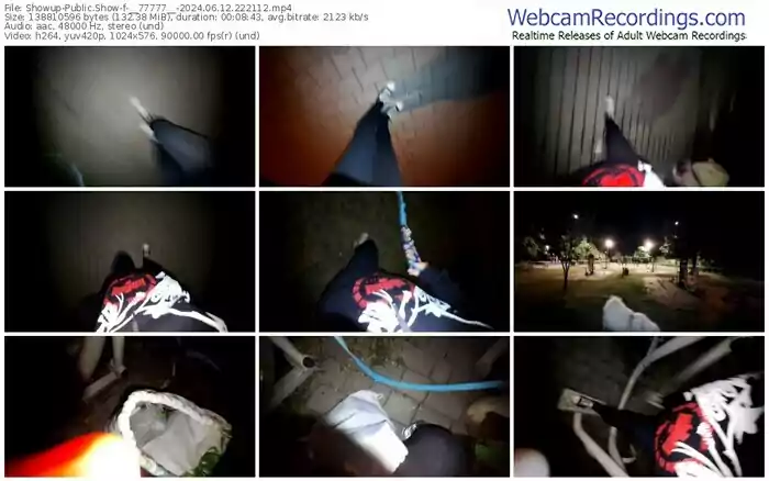 2024/06/12/showup-__77777__-22-21-12