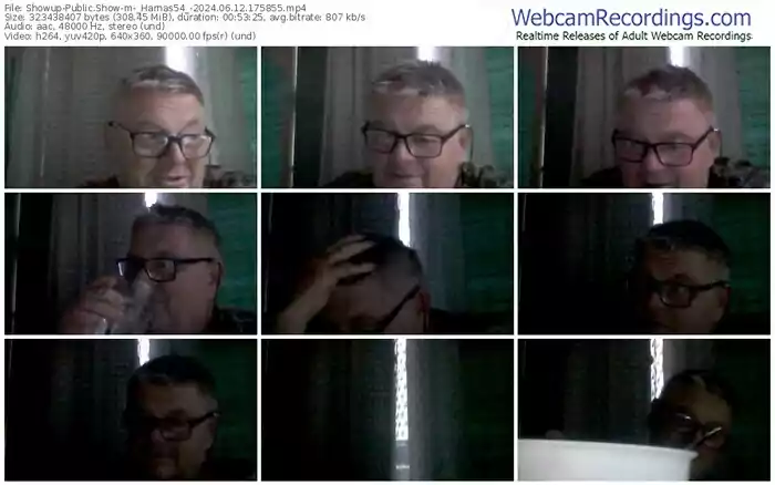 2024/06/12/showup-_harnas54_-17-58-55