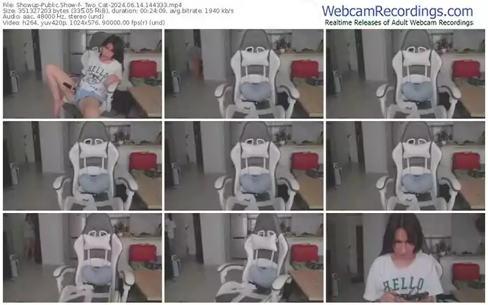 2024/06/14/showup-_two_cat-14-43-33