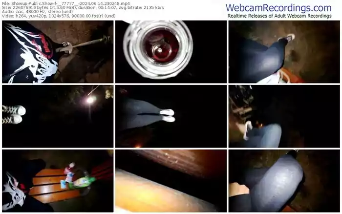 2024/06/14/showup-__77777__-23-02-48