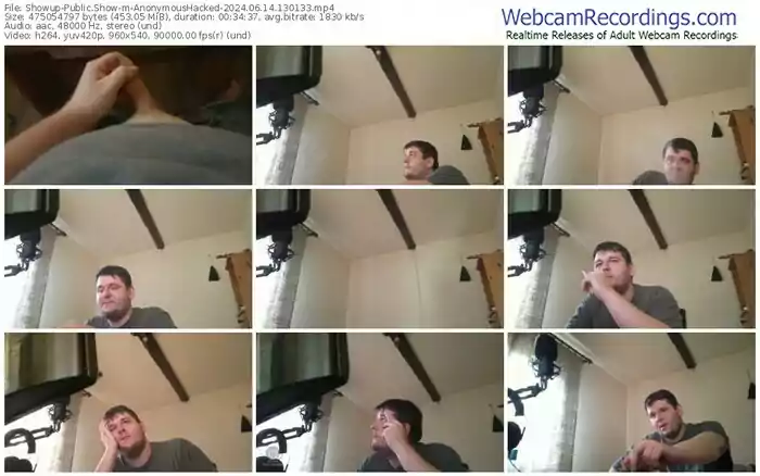 2024/06/14/showup-anonymoushacked-13-01-33