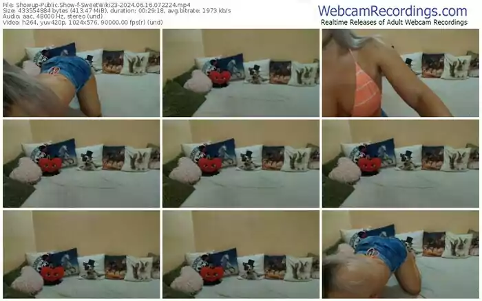 2024/06/16/showup-sweetwiki23-07-22-24