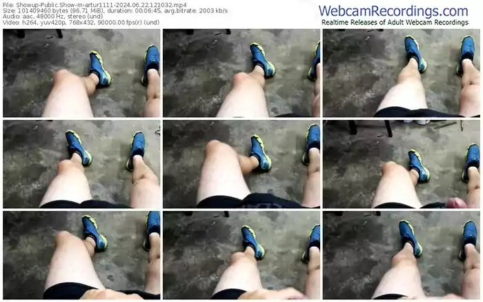 2024/06/22/showup-artur1111-12-10-32