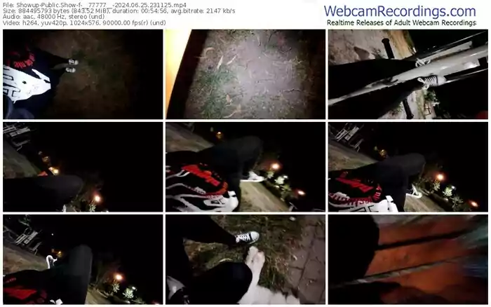 2024/06/25/showup-__77777__-23-11-25