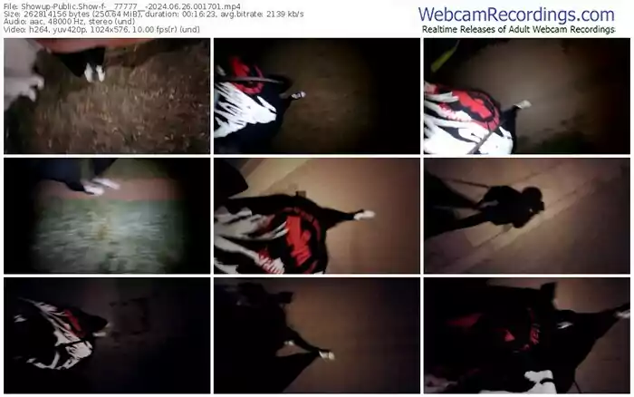 2024/06/26/showup-__77777__-00-17-01