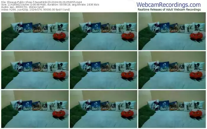 2024/06/29/showup-sweetwiki23-05-00-55