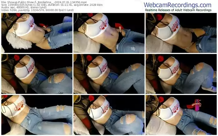 2024/07/01/showup-_borderline__-13-43-56