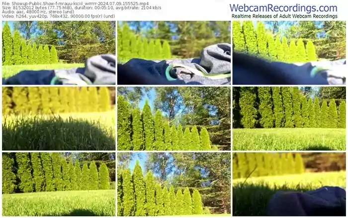 2024/07/09/showup-mrauu-kiciil_wrrrrr-15-55-25