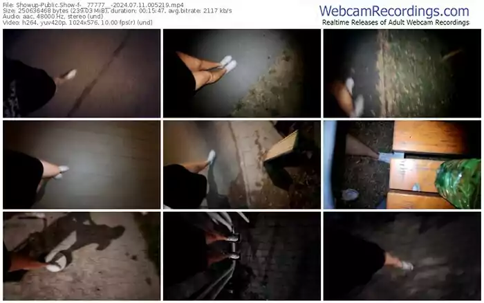 2024/07/11/showup-__77777__-00-52-19