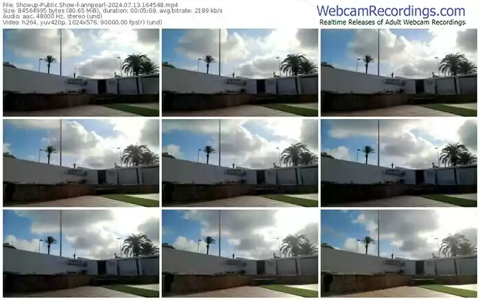 2024/07/13/showup-annpearl-16-45-48