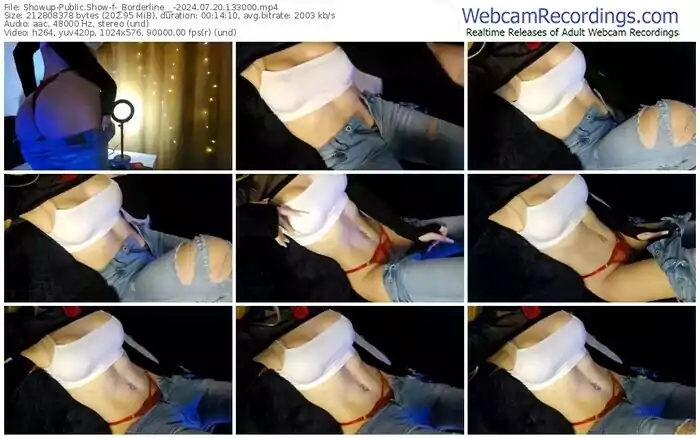 2024/07/20/showup-_borderline__-13-30-00