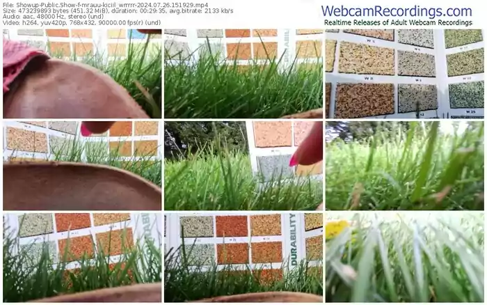 2024/07/26/showup-mrauu-kiciil_wrrrrr-15-19-29