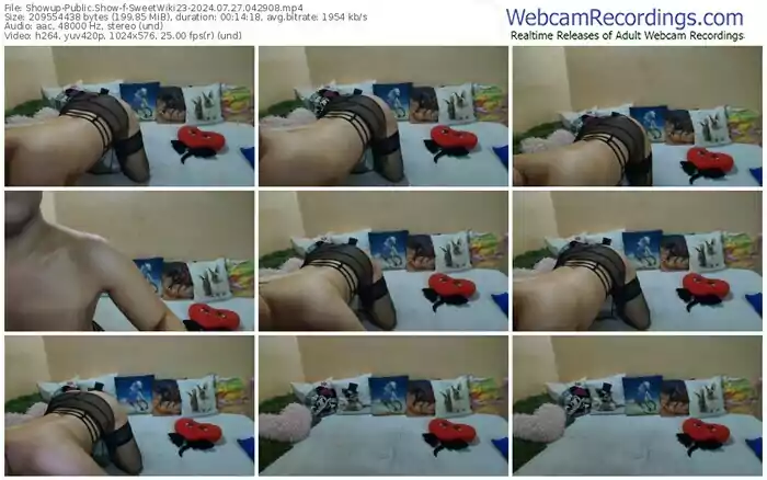 2024/07/27/showup-sweetwiki23-04-29-08