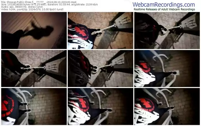 2024/08/10/showup-__77777__-22-01-40