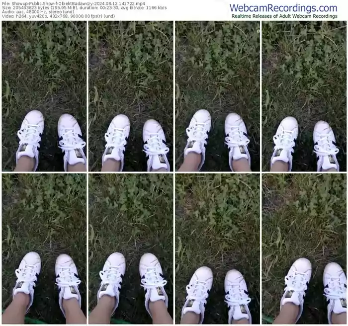 2024/08/12/showup-obiektbadawczy-14-17-22