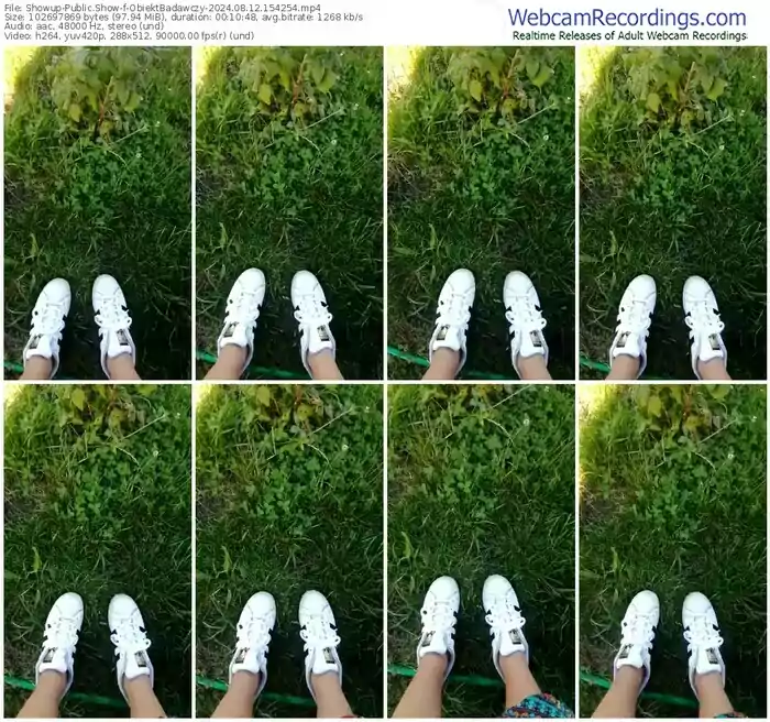 2024/08/12/showup-obiektbadawczy-15-42-54