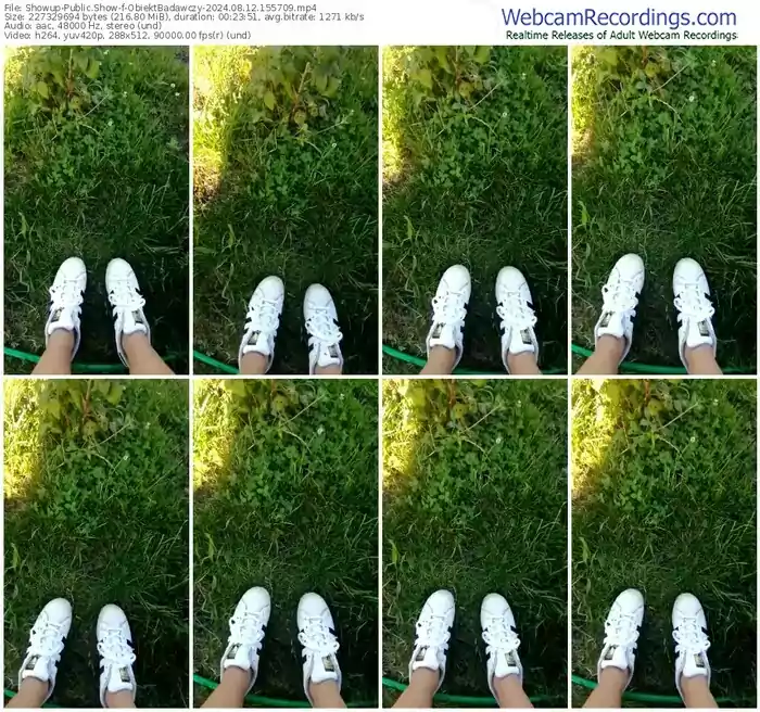 2024/08/12/showup-obiektbadawczy-15-57-09