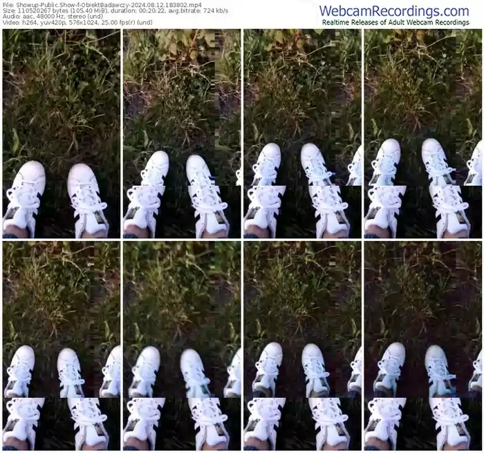 2024/08/12/showup-obiektbadawczy-18-38-02