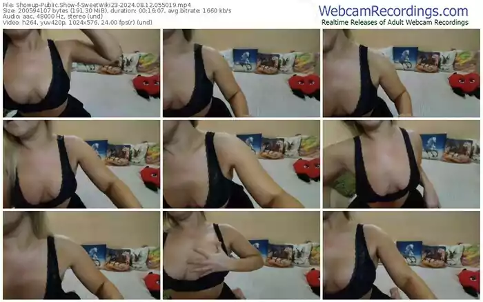 2024/08/12/showup-sweetwiki23-05-50-19