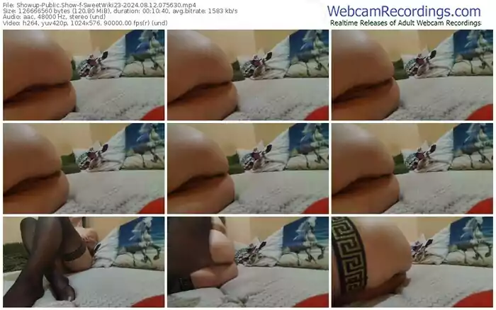 2024/08/12/showup-sweetwiki23-07-56-30