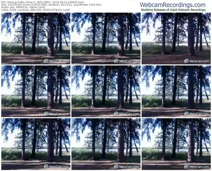 2024/08/12/showup-_pani_grey_-14-59-25