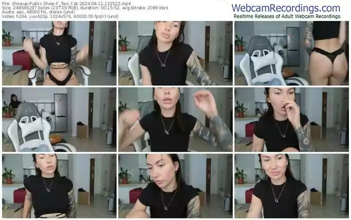 2024/08/12/showup-_two_cat-13-25-22