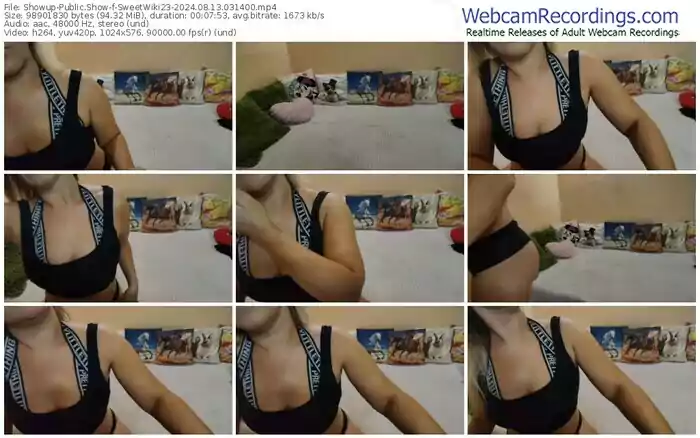 2024/08/13/showup-sweetwiki23-03-14-00