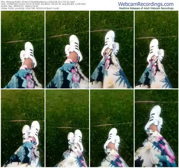 2024/08/15/showup-obiektbadawczy-17-31-31